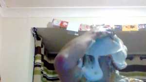 12-deep-filled-pies_14.jpg